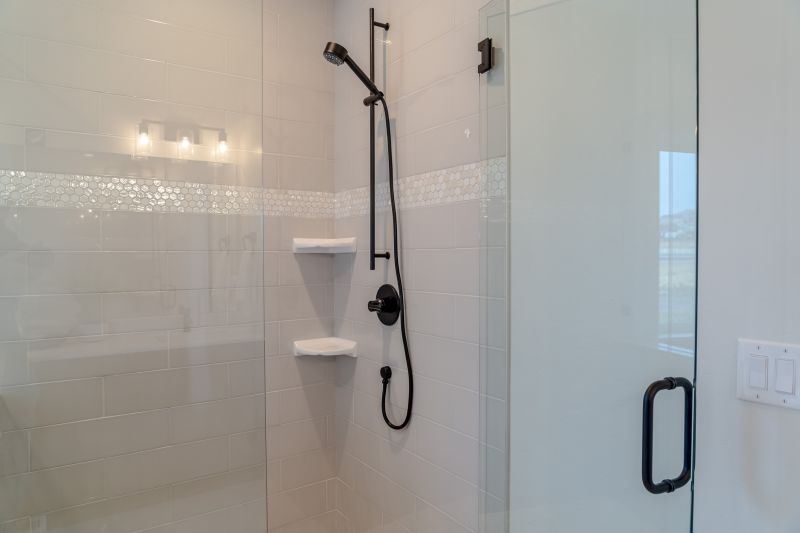Minimalist Frameless Shower